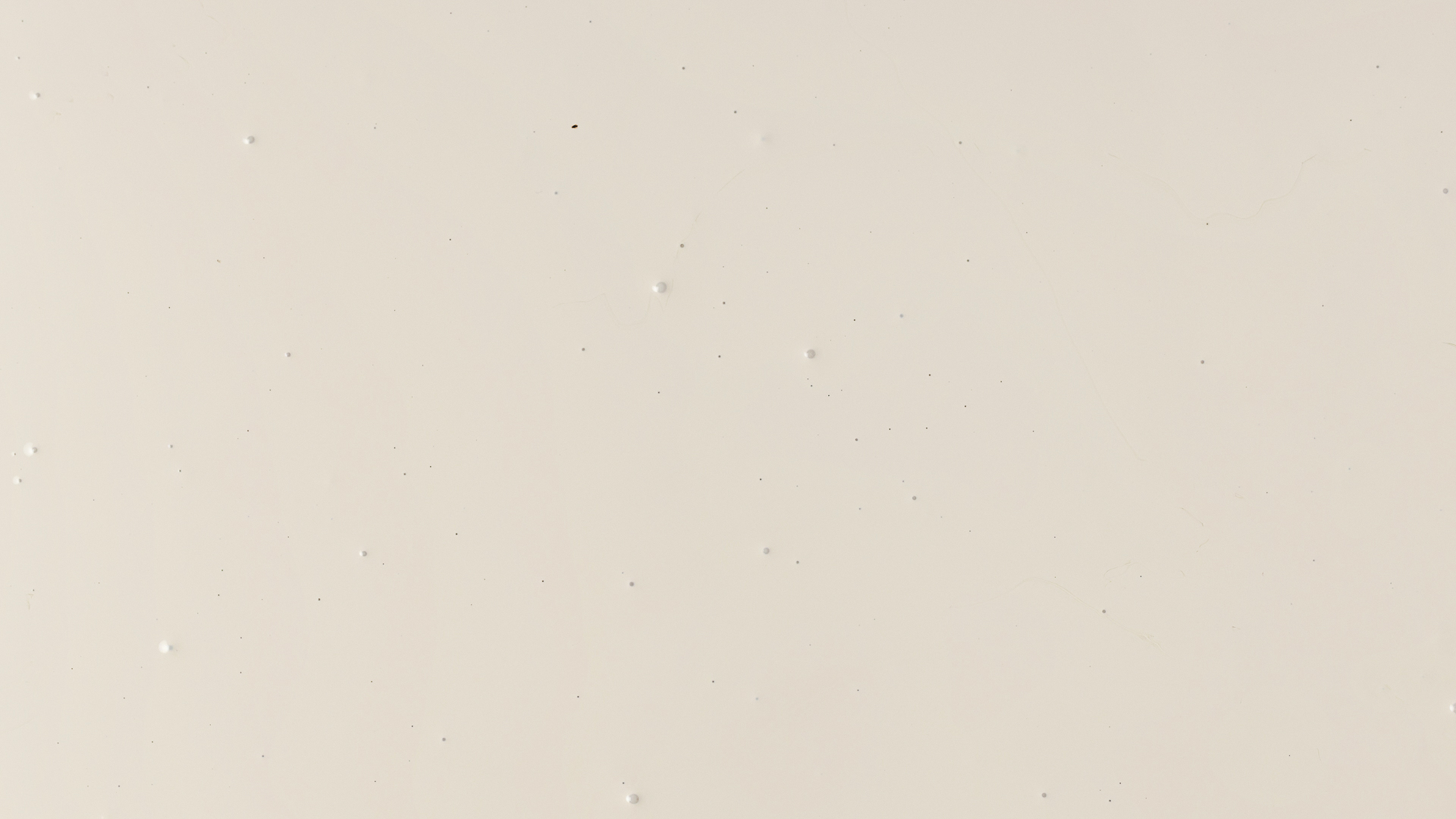 Blush Yellow Simply Colour. Painting, just easier.